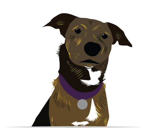 Princess Piper's avatar headshot