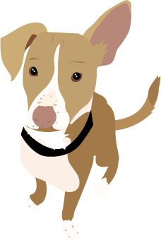 Jupiter North avatar headshot